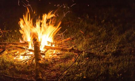 Secretaria de Agricultura e Abastecimento orienta sobre como prevenir incêndios em plantações