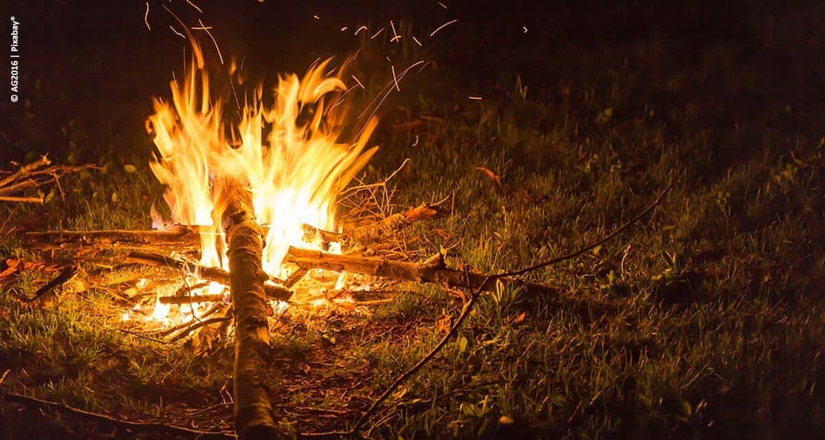 Secretaria de Agricultura e Abastecimento orienta sobre como prevenir incêndios em plantações