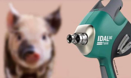 MSD Saúde Animal lança o primeiro dispositivo livre de agulha e intradérmico com dois injetores para vacinação suína