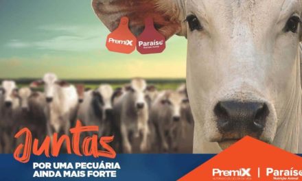 Premix e Paraíso se unem para criar uma das maiores empresas de nutrição bovina do País