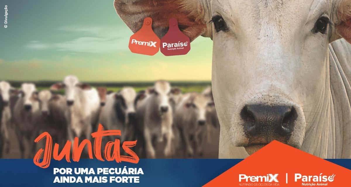 Premix e Paraíso se unem para criar uma das maiores empresas de nutrição bovina do País