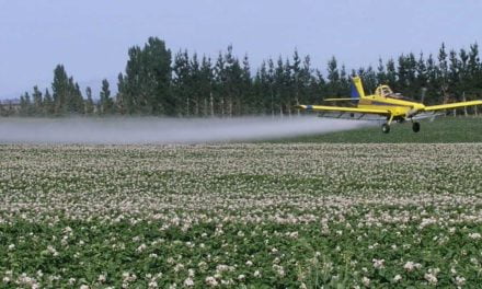 Aplicação aérea depende do clima para maior efetividade nas culturas