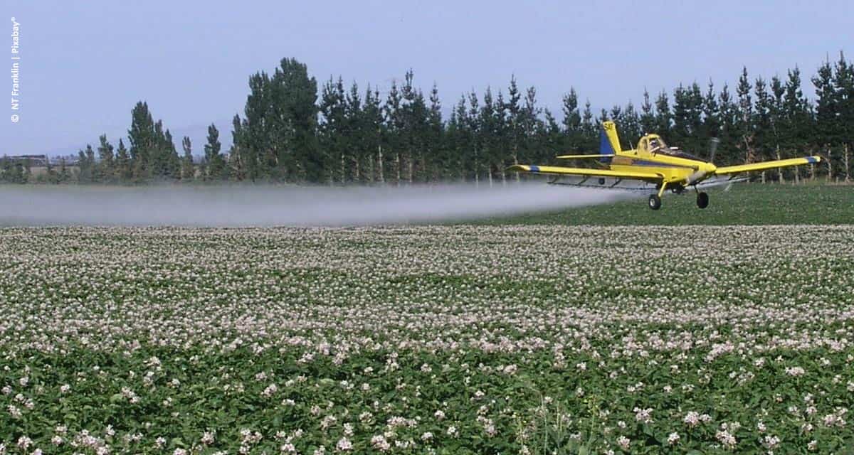 Aplicação aérea depende do clima para maior efetividade nas culturas