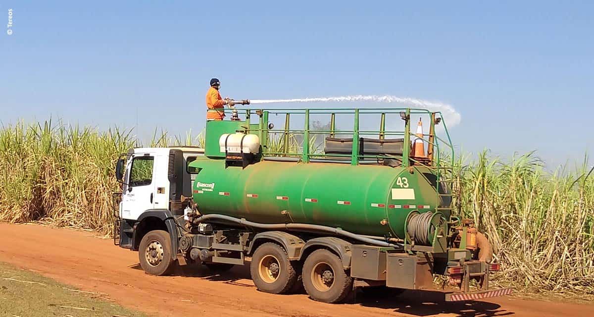 Tereos obtém redução de 50% em áreas queimadas em 2018