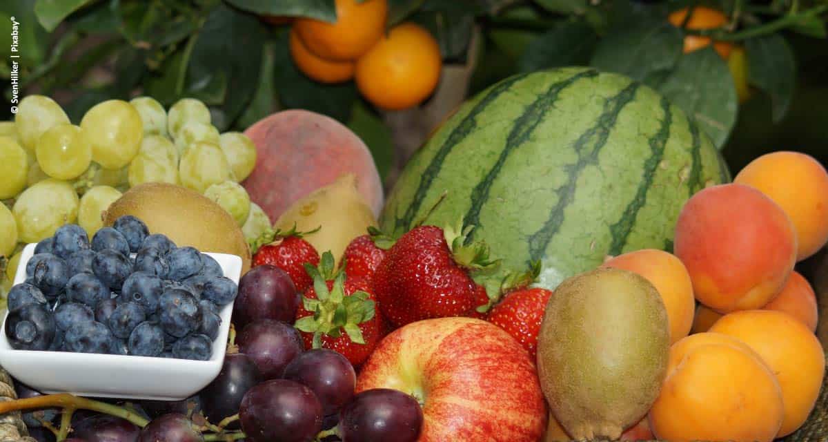 Fruta de qualidade exige nutrição equilibrada