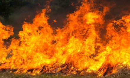Como combater focos de incêndio em zonas rurais?