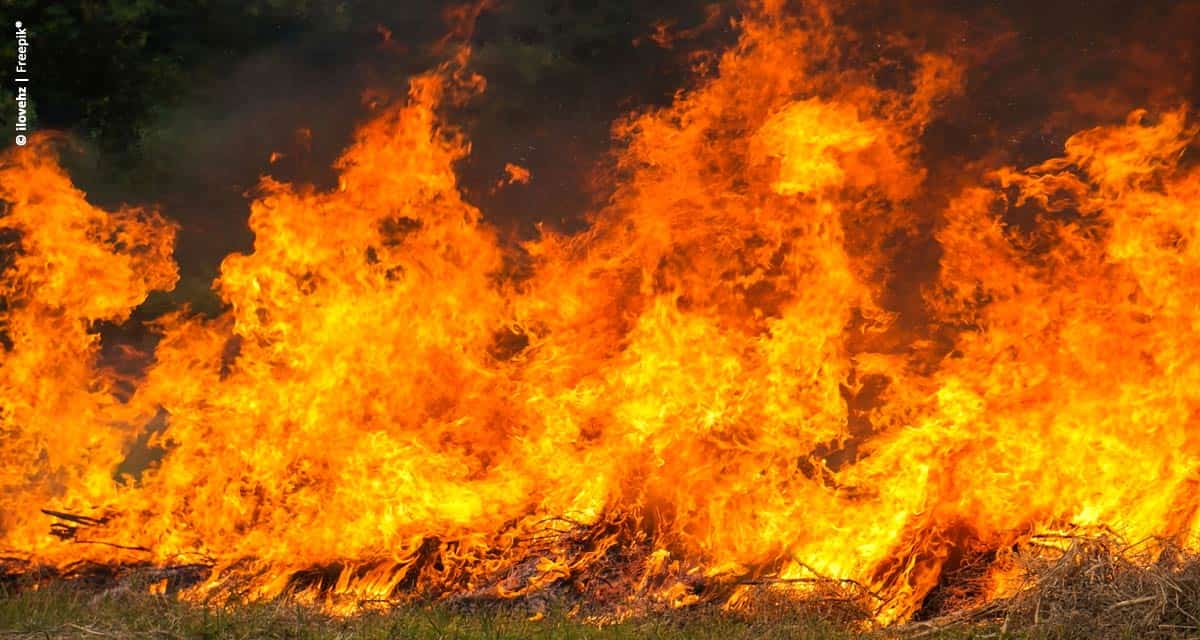 Como combater focos de incêndio em zonas rurais?