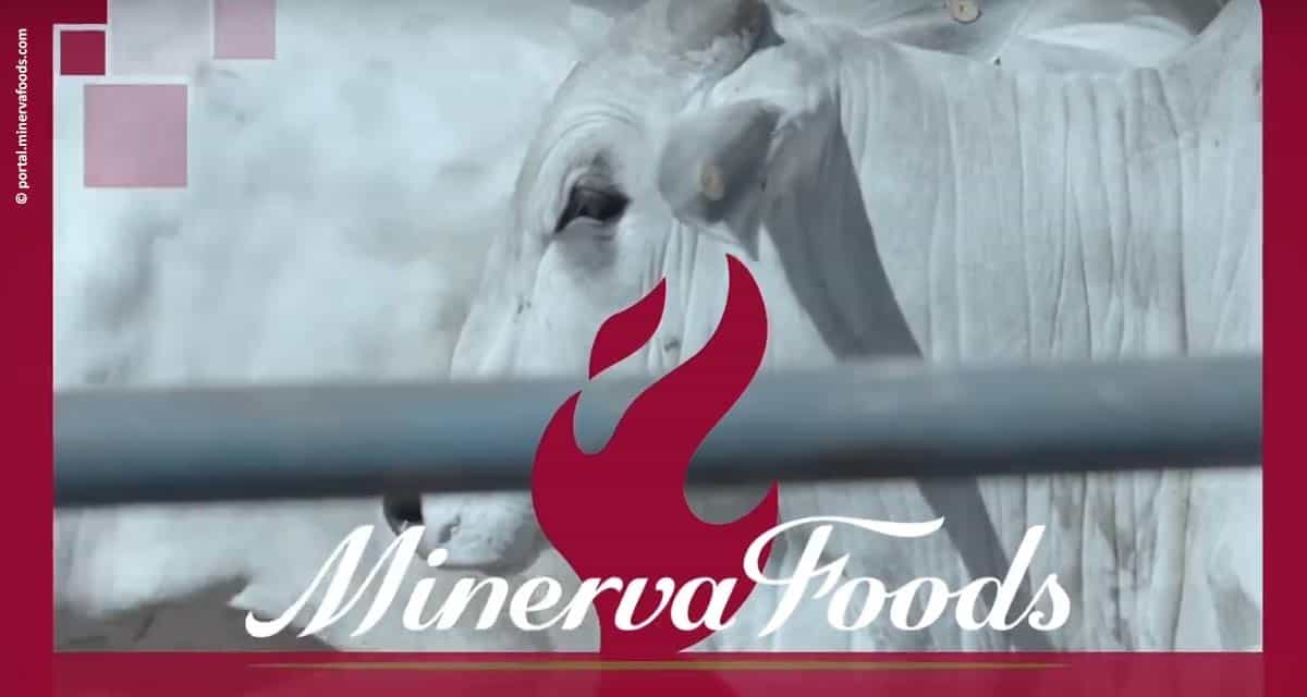 Minerva Foods tem cinco plantas habilitadas a exportar carne bovina para a Indonésia