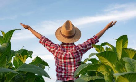 Prêmio que valoriza as mulheres do agro está com as inscrições abertas