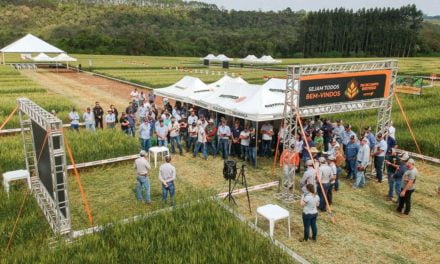 Dia de campo apresenta inovação para o controle de aveia e azevém no trigo