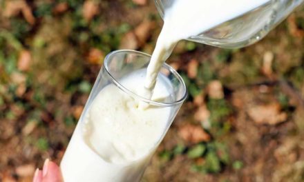 Qualidade do produto poderá determinar a sustentabilidade do setor leiteiro