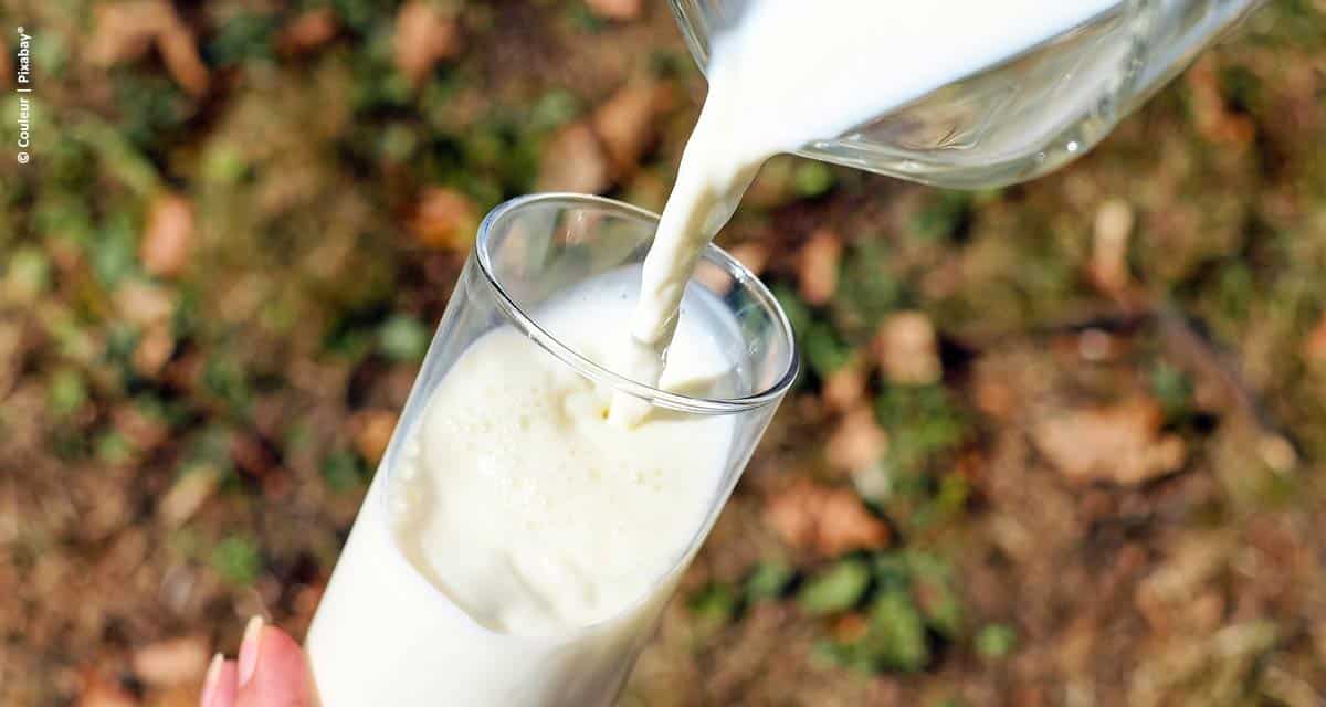 Qualidade do produto poderá determinar a sustentabilidade do setor leiteiro