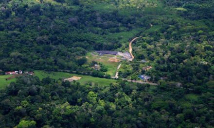 Família resgata fazenda de cacau e ganha reconhecimento com chocolate premium brasileiro