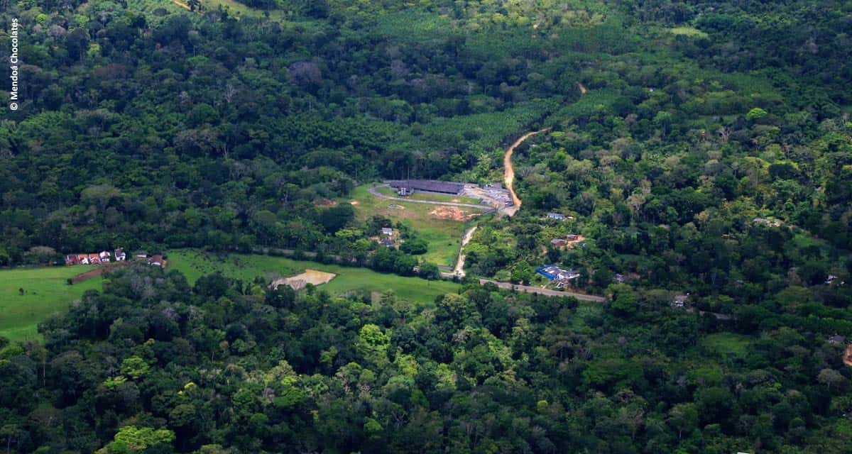 Família resgata fazenda de cacau e ganha reconhecimento com chocolate premium brasileiro