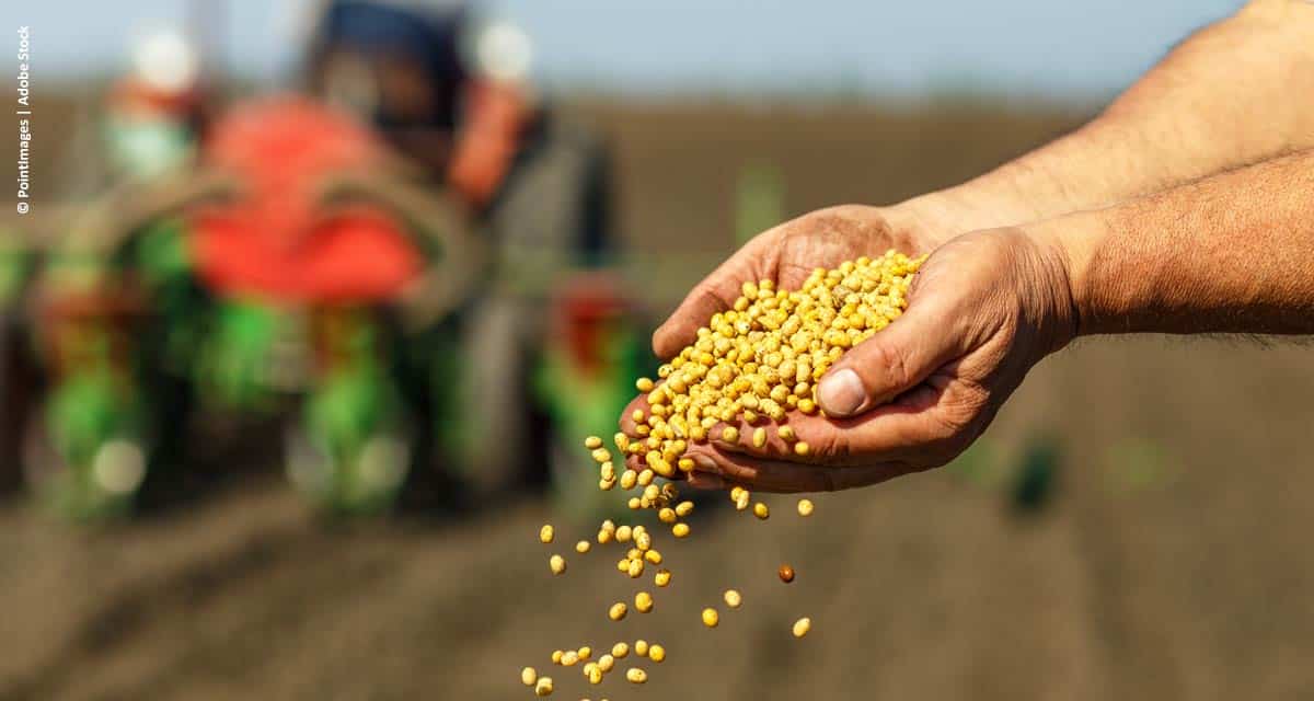 Empresas do agronegócio se unem em campanha para uso do  tratamento industrial de sementes
