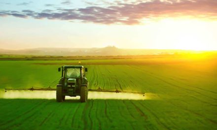 Nova geração de fertilizantes favorece a produtividade