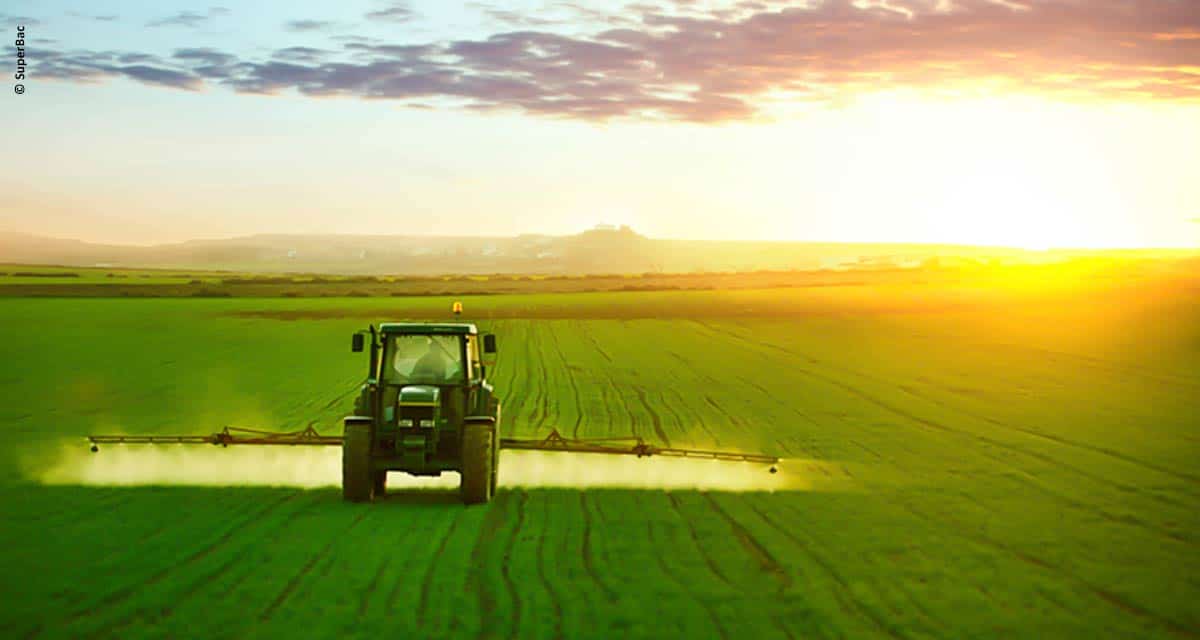 Nova geração de fertilizantes favorece a produtividade