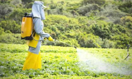 Maior presença de mulheres no campo influencia no desenvolvimento de novas tecnologias