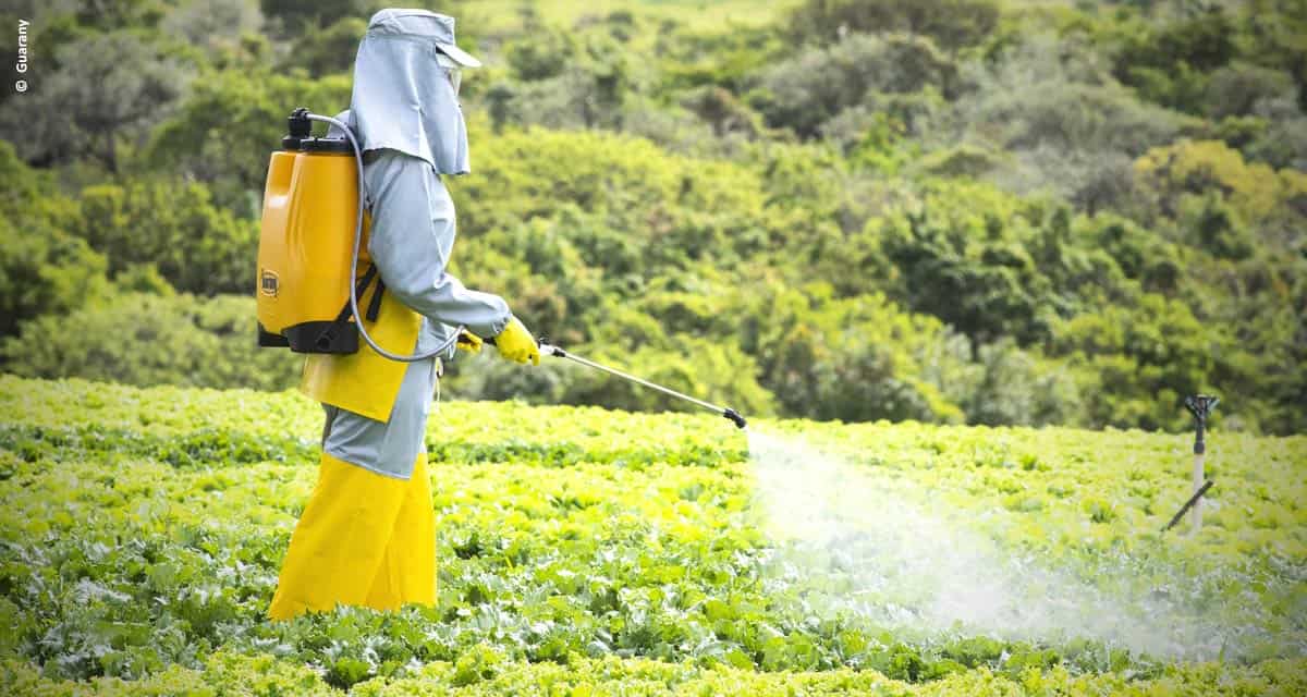 Maior presença de mulheres no campo influencia no desenvolvimento de novas tecnologias