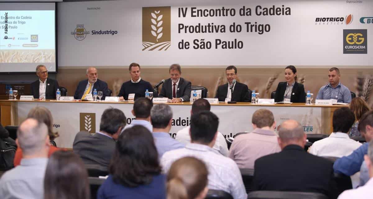 IV Encontro da Cadeia Produtiva do Trigo discute cenário nacional e mundial para o grão