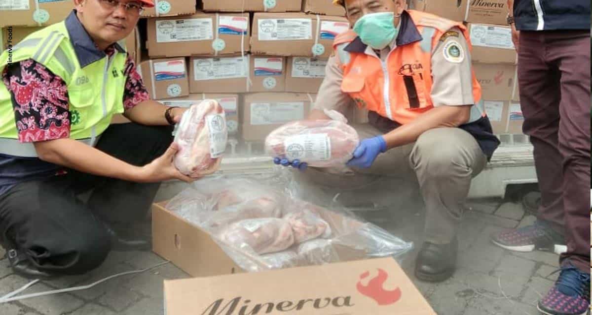 Primeiro lote de carne bovina da Minerva Foods chega na Indonésia