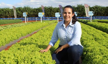 Agristar do Brasil cria programa de melhoramento de alfaces e contrata pesquisadora