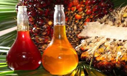 Livre de gorduras trans, óleo de palma traz vantagens e benefícios para a indústria alimentícia