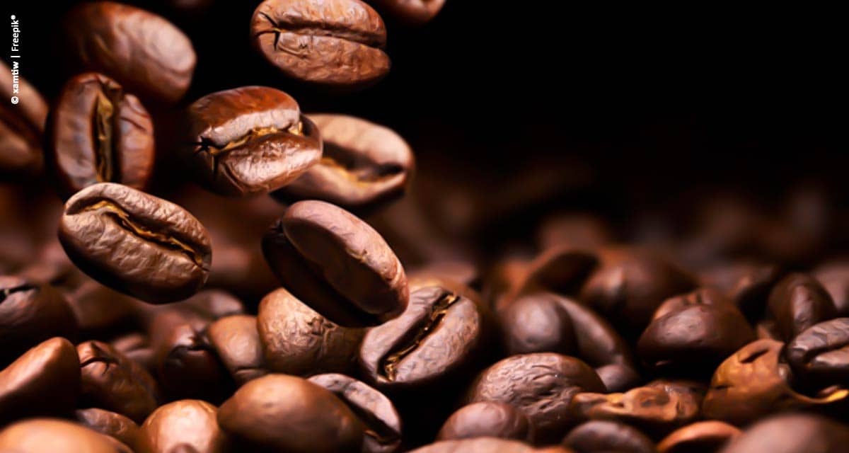 Brasil exporta 40,6 milhões de sacas de café em 2019 e bate recorde histórico