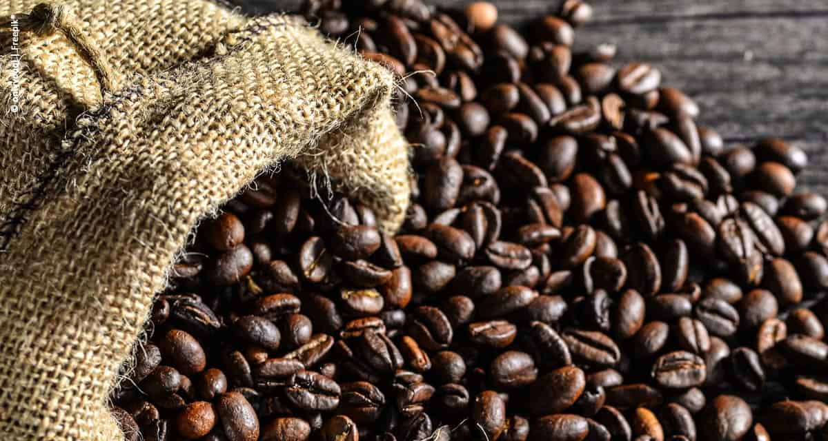 Exportações de café do Brasil atingem 3,2 milhões de sacas em janeiro