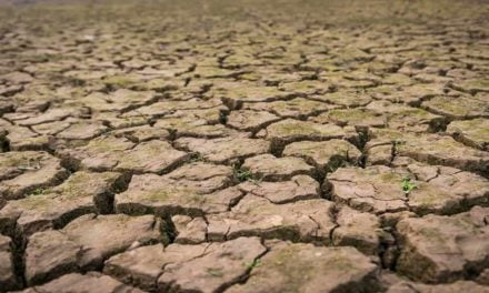 Falta de chuva prejudica colheita da soja na Bahia