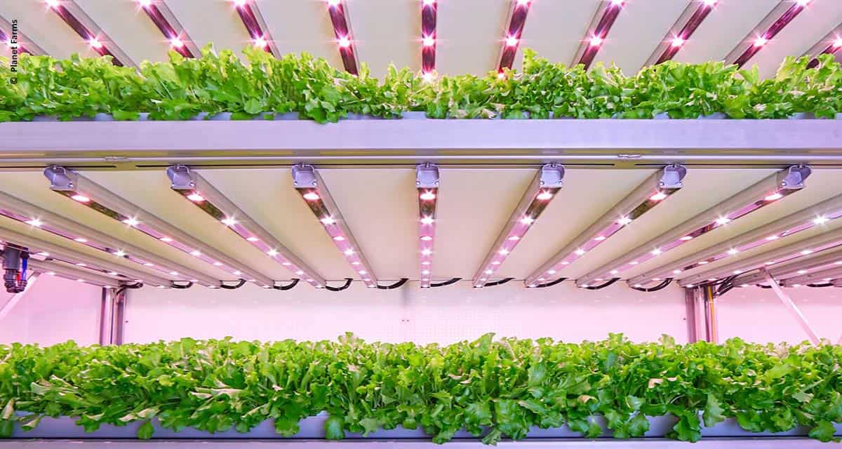 Maior fazenda vertical da Europa usa LEDs de horticultura