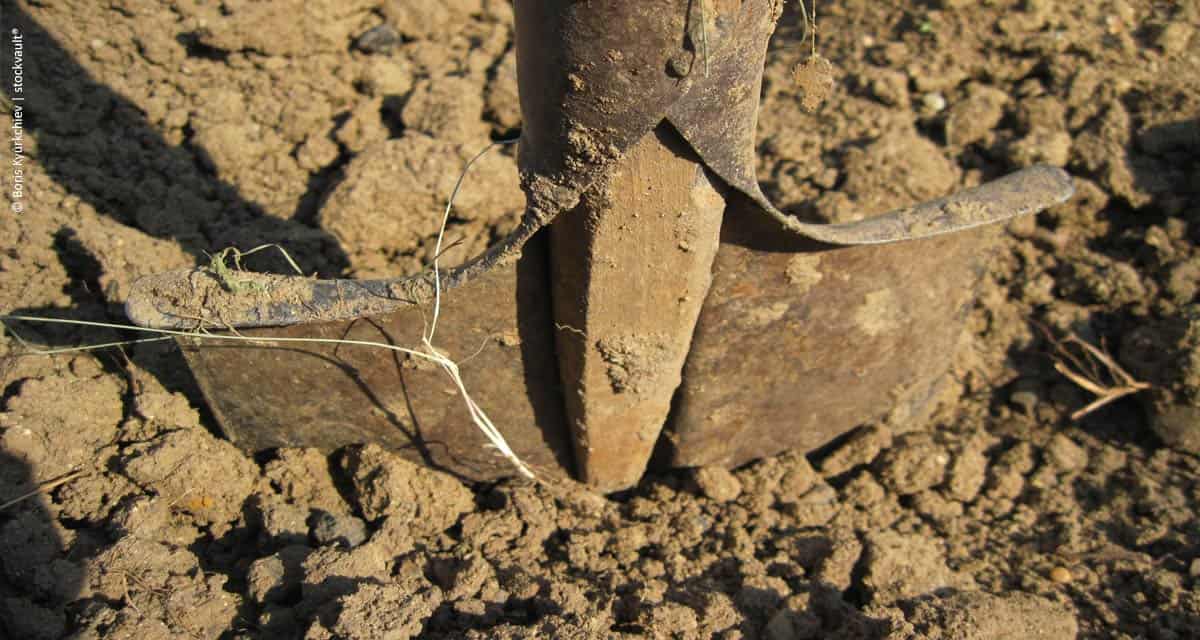 Agro se mantém firme, mesmo em situação de crise