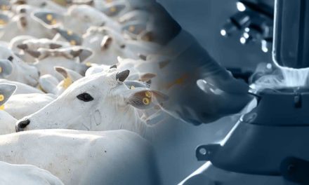 Alta e Allflex anunciam parceria estratégica para oferecer tecnologia de monitoramento a rebanhos leiteiros