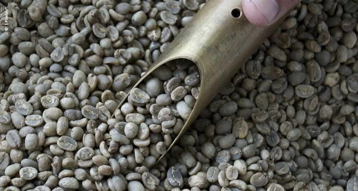 Exportações de café brasileiro atingem 3,1 milhões de sacas em março