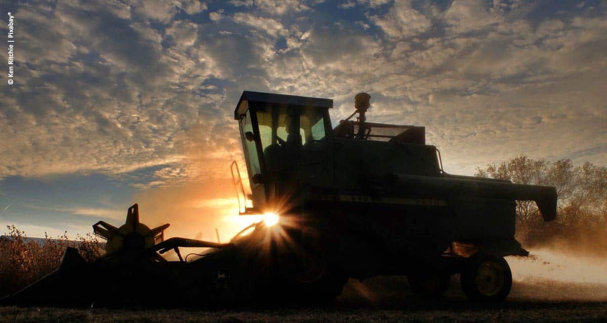 Brasil colhe 123,5 milhões de toneladas de soja