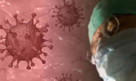 Agronegócio se mobiliza na luta contra o novo coronavírus