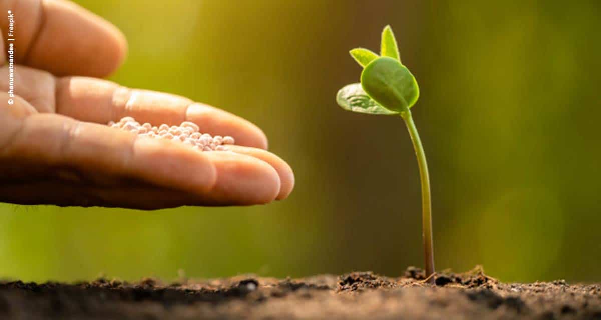 O papel do fertilizante na cadeia de alimentos: entenda por que a produção não pode parar