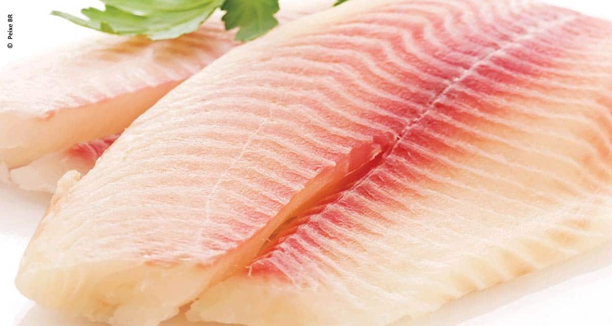 Peixe BR comemora habilitação de plantas para exportação de peixes de cultivo para a China