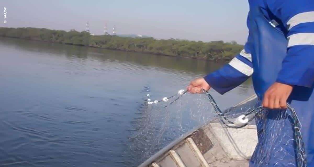 Pescadores e aquicultores estão mais próximos de receber auxílio emergencial