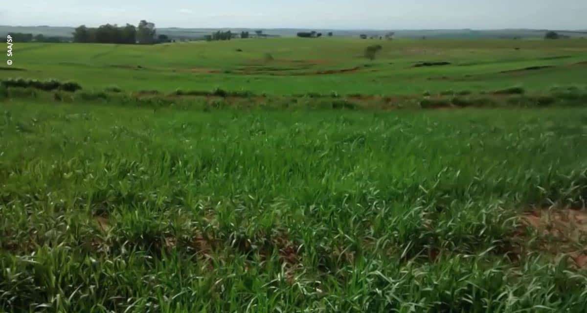 Dia Nacional da Conservação do Solo: Secretaria de Agricultura e Abastecimento desenvolve trabalhos voltados à proteção desse precioso recurso