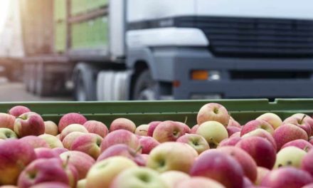 Coletando dados para maximizar rendimentos no campo