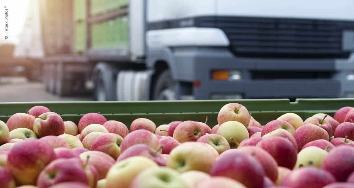 Coletando dados para maximizar rendimentos no campo