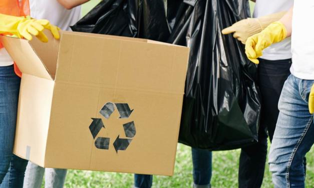 Programa de reciclagem da Agropalma une preservação ambiental e responsabilidade social com doação de resíduos