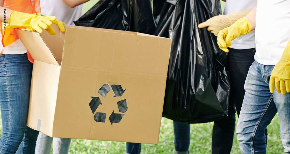 Programa de reciclagem da Agropalma une preservação ambiental e responsabilidade social com doação de resíduos