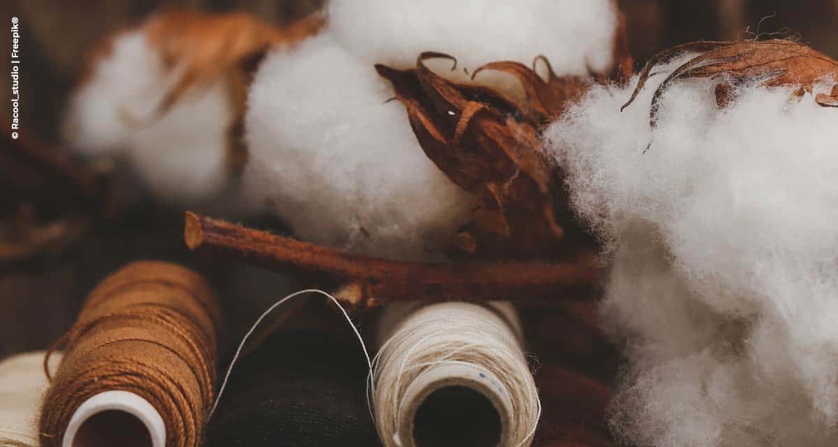 Milliken coloca no mercado brasileiro polímero colorido para sementes de algodão