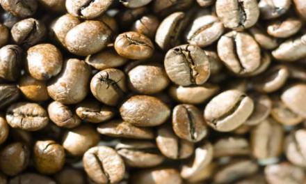 Exportações de café brasileiro atingem 3,3 milhões de sacas em abril