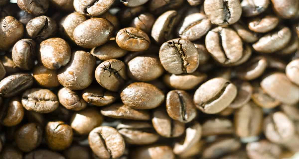 Exportações de café brasileiro atingem 3,3 milhões de sacas em abril