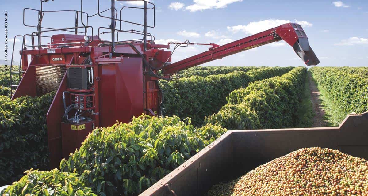 Pesquisa: 25% dos cafeicultores realizam colheita mecanizada