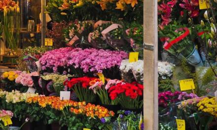 Floricultura brasileira amarga prejuízos por causa da pandemia