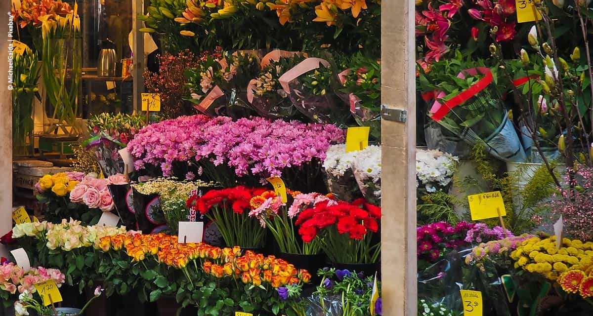 Floricultura brasileira amarga prejuízos por causa da pandemia